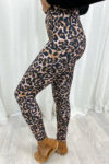 Best_Tights_Evers_-_Large_Leopard_Angle