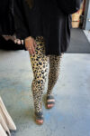 Best_Tights_Evers_-_Large_Leopard_Angle